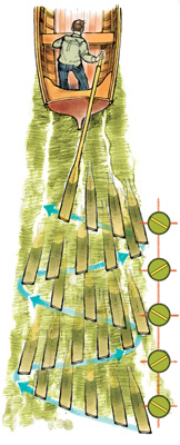 Illustration of sculling technique.