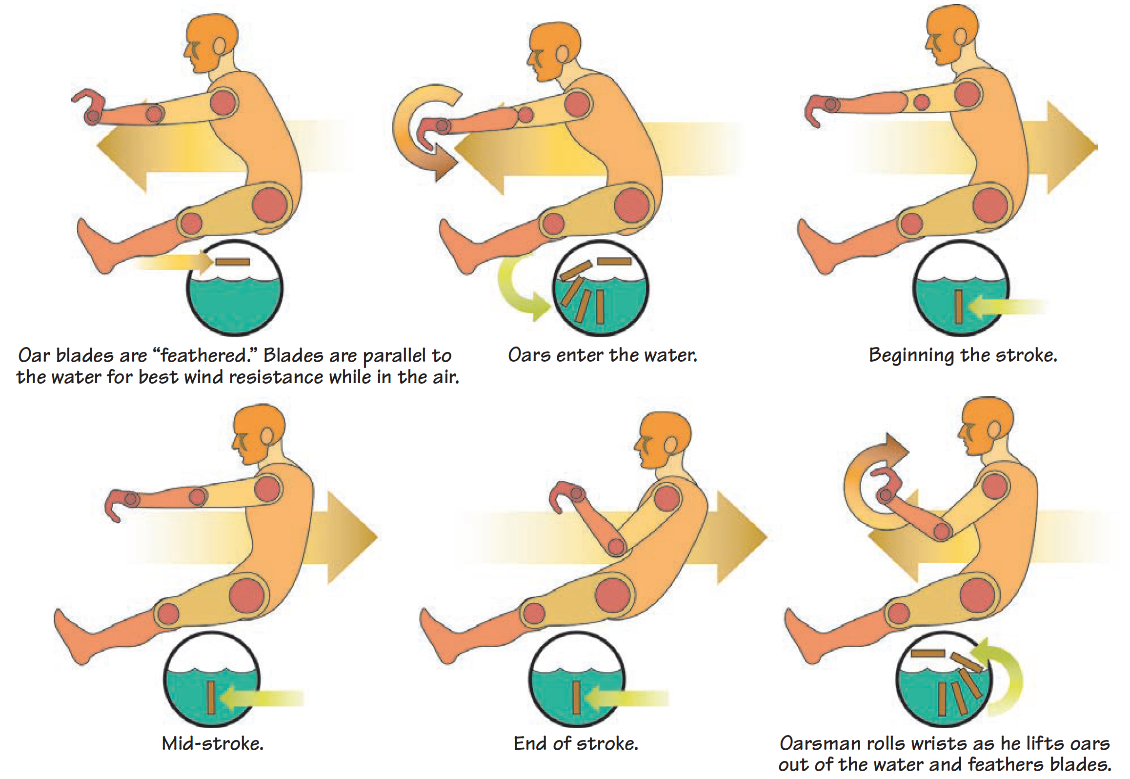 Six-part illustration of proper rowing technique.