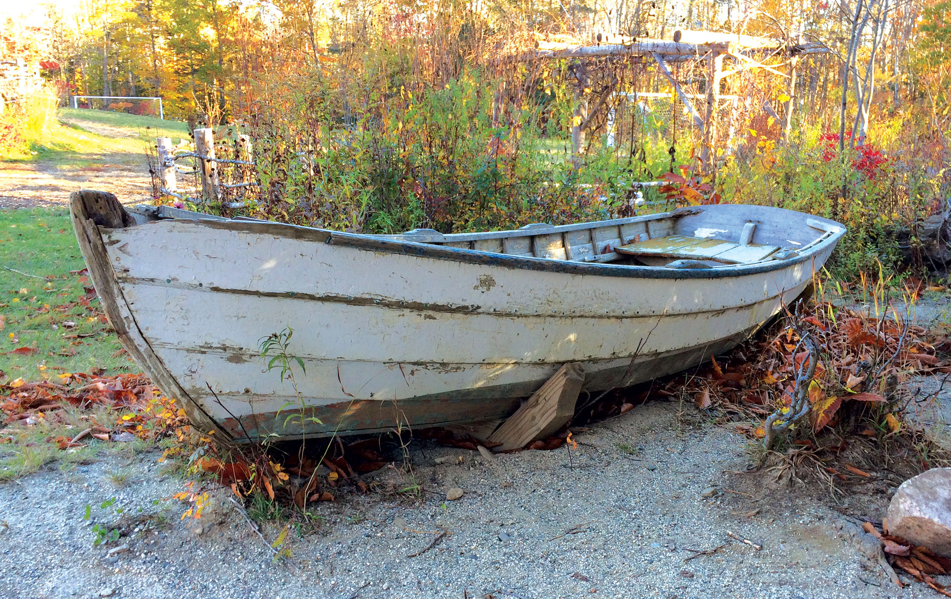 An old worn dory stands in a back lot. 
