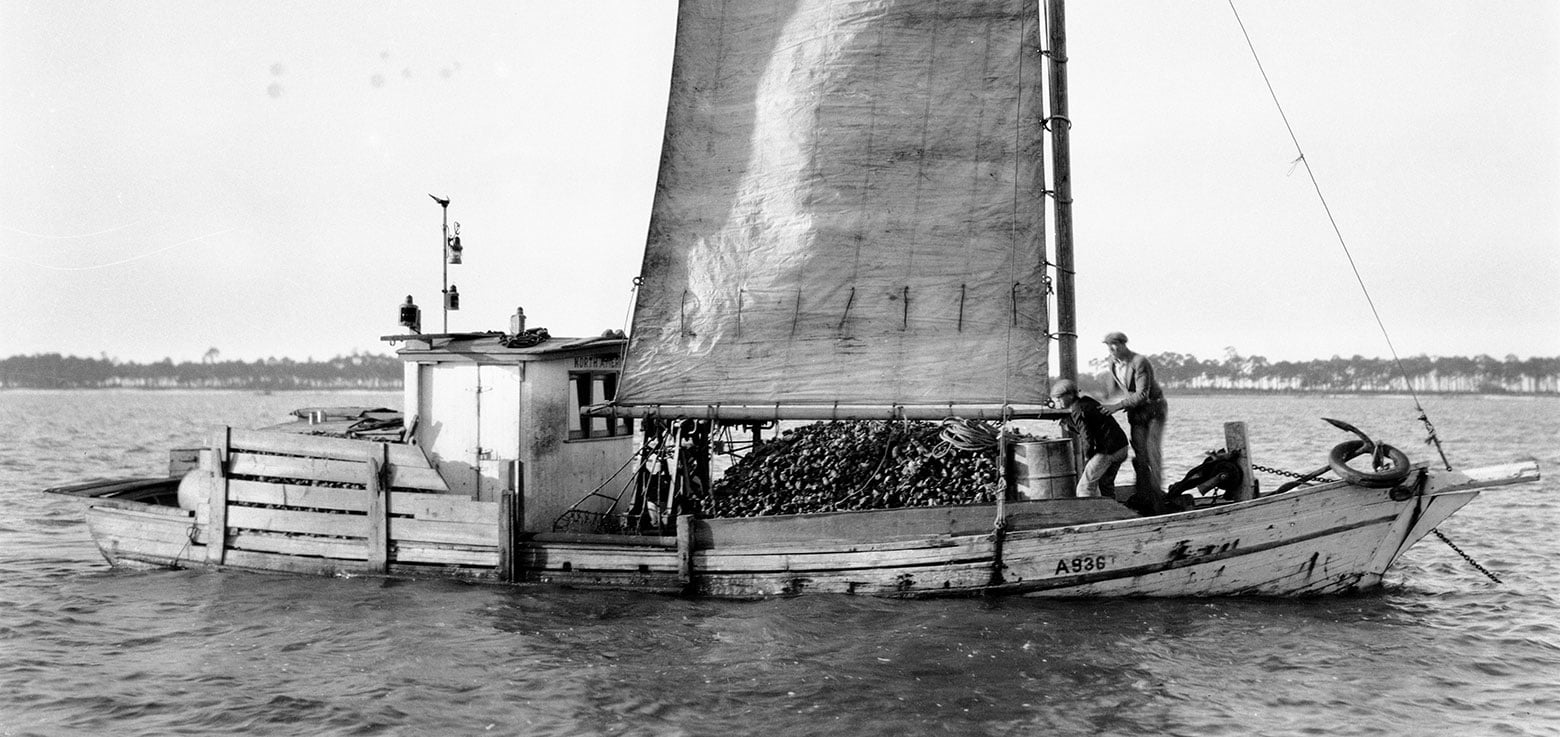The lugger.