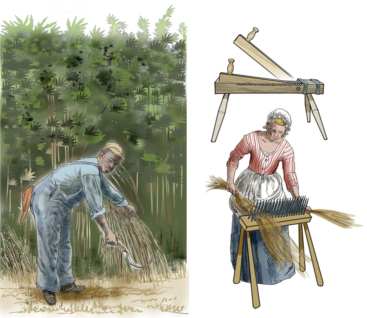Hemp