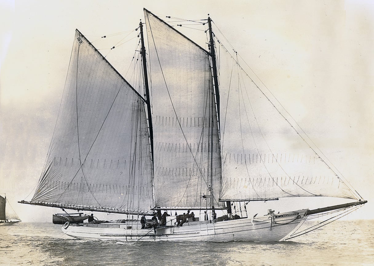 The A.J. MEERWALD.
