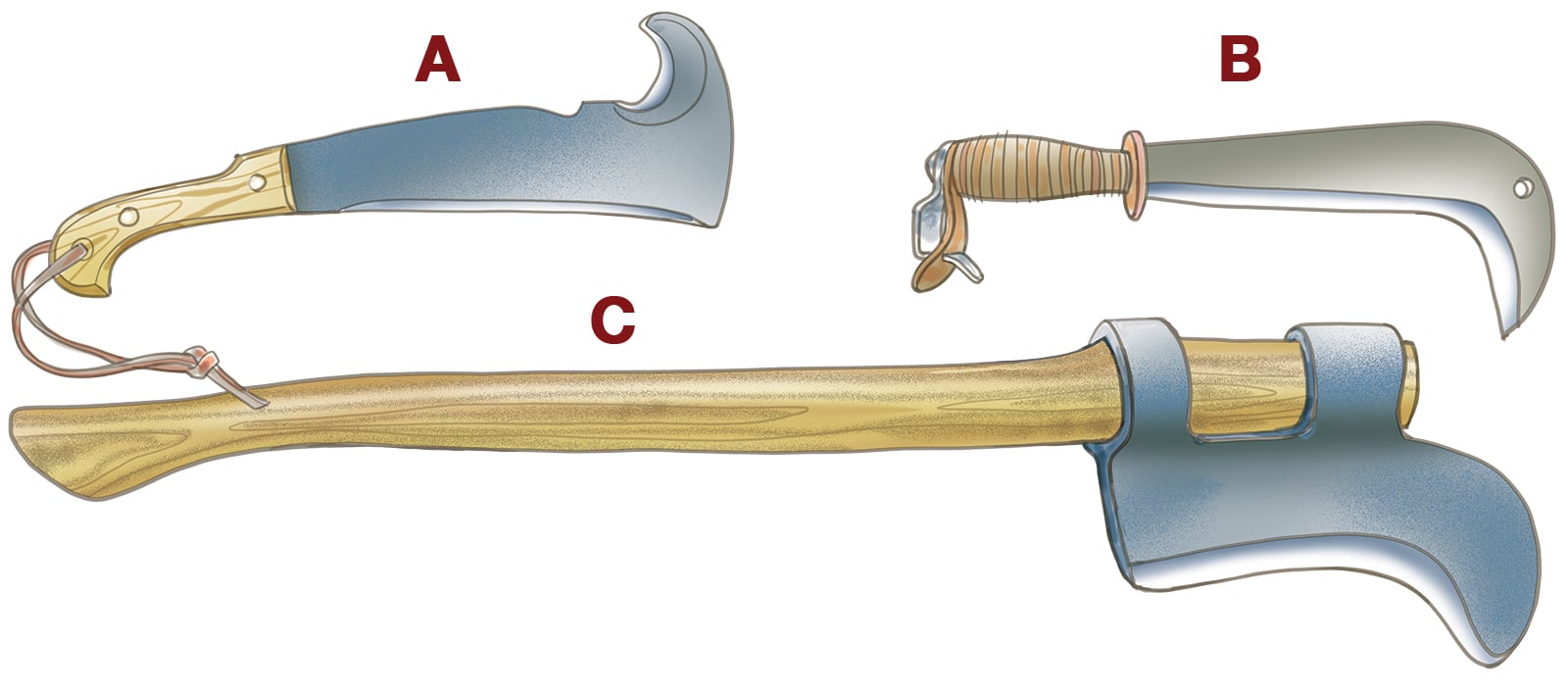 The bill hook is not just ancient, it’s paleolithic.