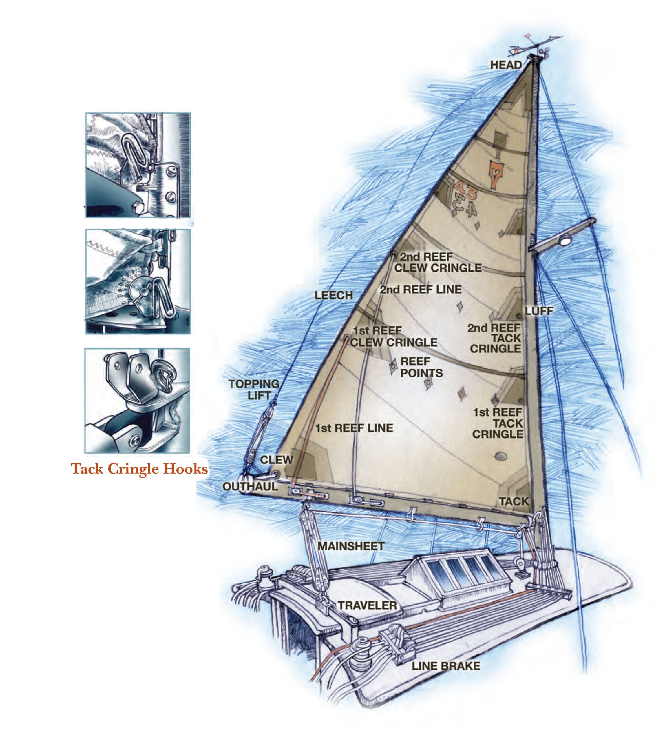 Illustration of a boat's mainsail with identifiers.